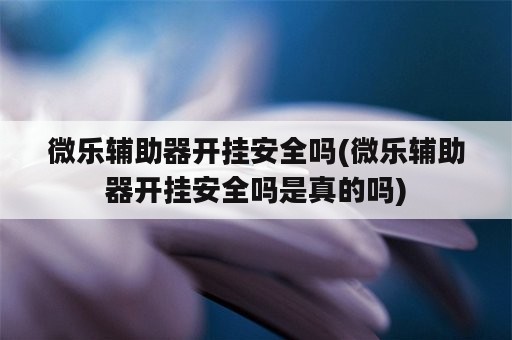 微乐辅助器开挂安全吗(微乐辅助器开挂安全吗是真的吗)