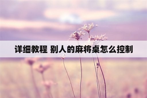 详细教程 别人的麻将桌怎么控制