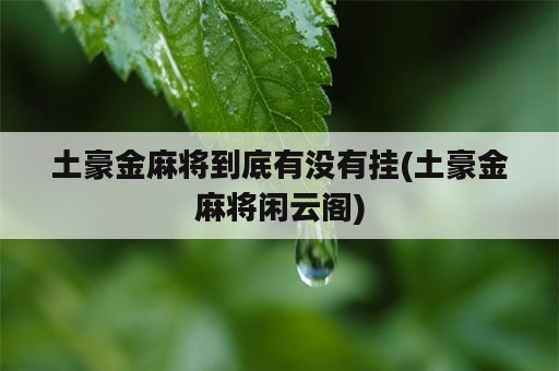 土豪金麻将到底有没有挂(土豪金麻将闲云阁)