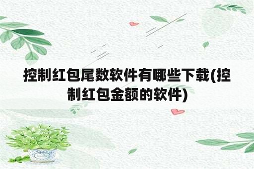 控制红包尾数软件有哪些下载(控制红包金额的软件)