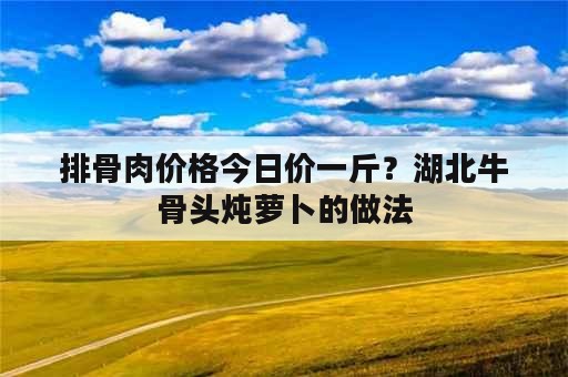 排骨肉价格今日价一斤？湖北牛骨头炖萝卜的做法