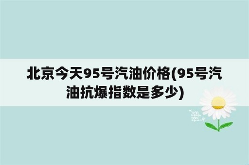 北京今天95号汽油价格(95号汽油抗爆指数是多少)