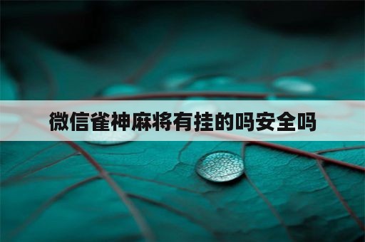 微信雀神麻将有挂的吗安全吗