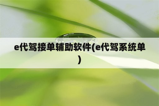 e代驾接单辅助软件(e代驾系统单)