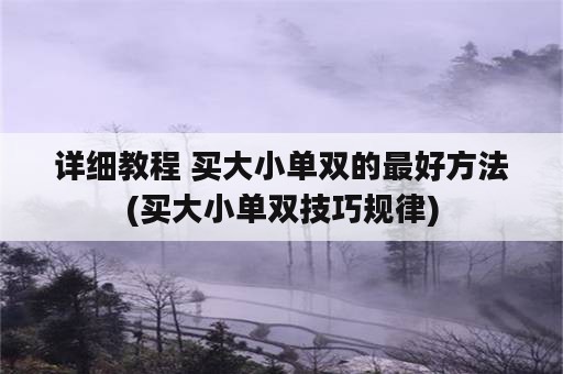 详细教程 买大小单双的最好方法(买大小单双技巧规律)