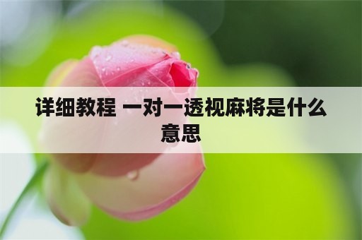 详细教程 一对一透视麻将是什么意思