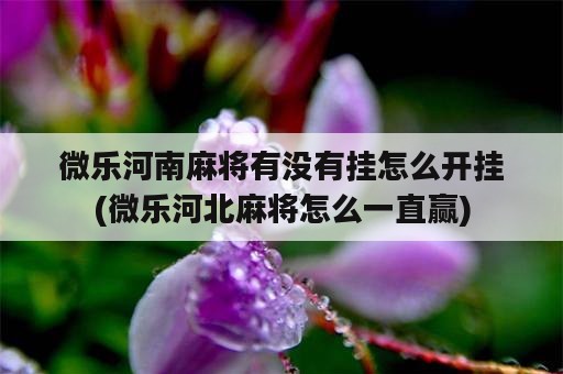 微乐河南麻将有没有挂怎么开挂(微乐河北麻将怎么一直赢)