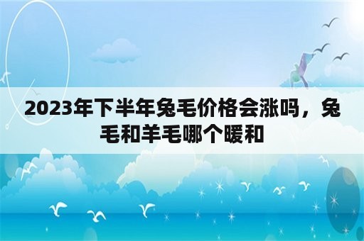 2023年下半年兔毛价格会涨吗，兔毛和羊毛哪个暖和