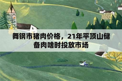 舞钢市猪肉价格，21年平顶山储备肉啥时投放市场