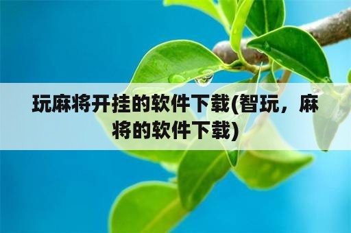 玩麻将开挂的软件下载(智玩，麻将的软件下载)