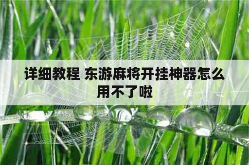 详细教程 东游麻将开挂神器怎么用不了啦