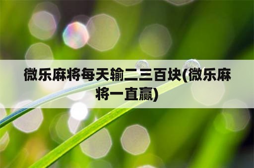 微乐麻将每天输二三百块(微乐麻将一直赢)