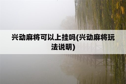 兴动麻将可以上挂吗(兴动麻将玩法说明)