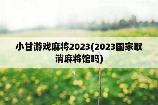 小甘游戏麻将2023(2023国家取消麻将馆吗)