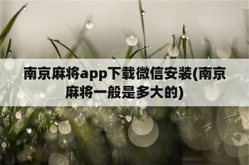 南京麻将app下载微信安装(南京麻将一般是多大的)