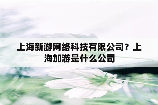 上海新游网络科技有限公司？上海加游是什么公司