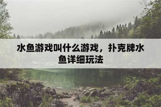 水鱼游戏叫什么游戏，扑克牌水鱼详细玩法