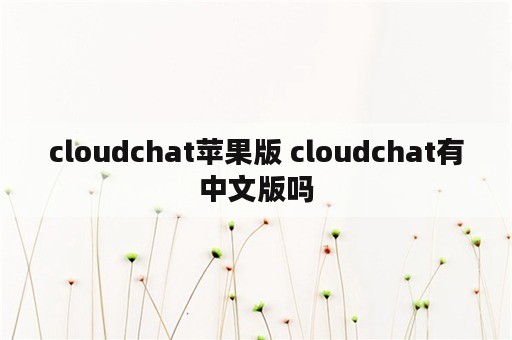 cloudchat苹果版 cloudchat有中文版吗