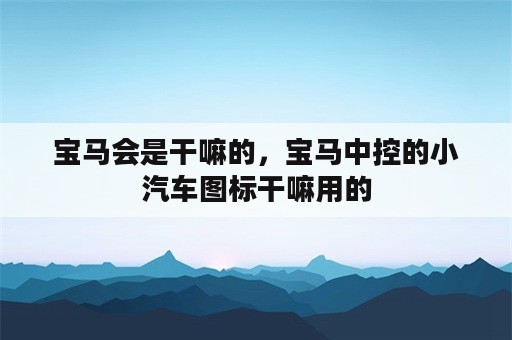 宝马会是干嘛的，宝马中控的小汽车图标干嘛用的