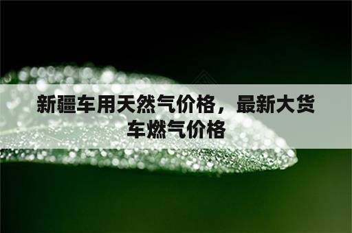 新疆车用天然气价格，最新大货车燃气价格