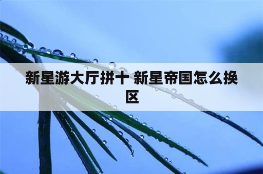 新星游大厅拼十 新星帝国怎么换区