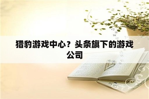 猎豹游戏中心？头条旗下的游戏公司