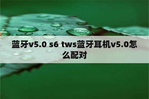 蓝牙v5.0 s6 tws蓝牙耳机v5.0怎么配对