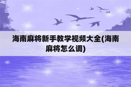 海南麻将新手教学视频大全(海南麻将怎么调)