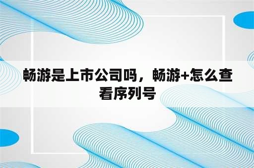 畅游是上市公司吗，畅游+怎么查看序列号