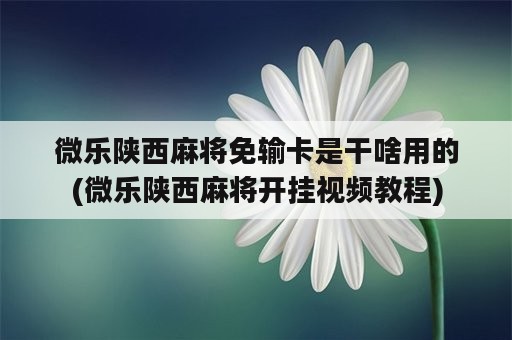 微乐陕西麻将免输卡是干啥用的(微乐陕西麻将开挂视频教程)