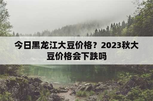 今日黑龙江大豆价格？2023秋大豆价格会下跌吗