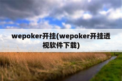wepoker开挂(wepoker开挂透视软件下载)