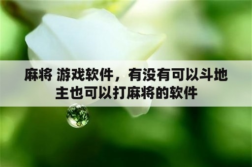 麻将 游戏软件，有没有可以斗地主也可以打麻将的软件