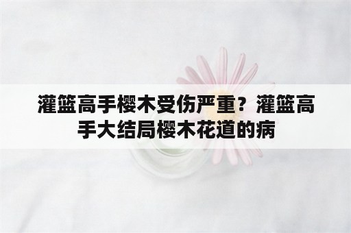 灌篮高手樱木受伤严重？灌篮高手大结局樱木花道的病