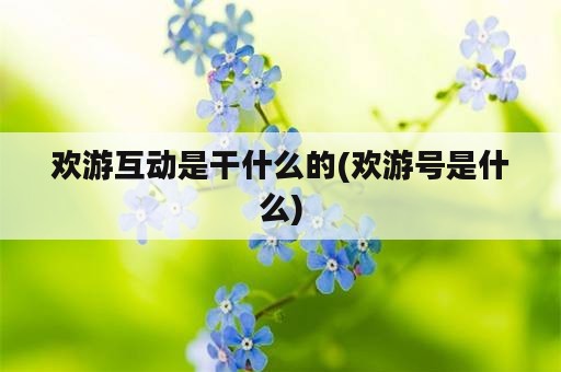 欢游互动是干什么的(欢游号是什么)