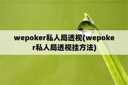 wepoker私人局透视(wepoker私人局透视挂方法)