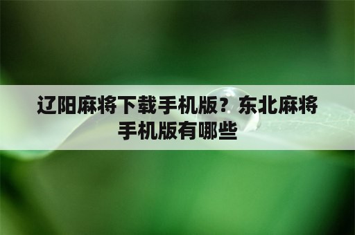 辽阳麻将下载手机版？东北麻将手机版有哪些