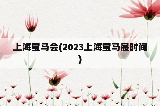 上海宝马会(2023上海宝马展时间)