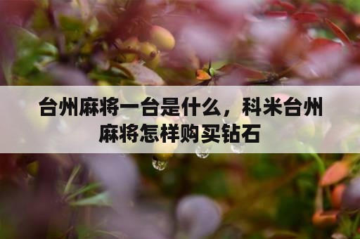 台州麻将一台是什么，科米台州麻将怎样购买钻石