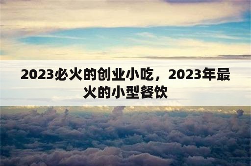 2023必火的创业小吃，2023年最火的小型餐饮