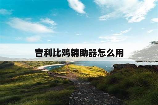 吉利比鸡辅助器怎么用