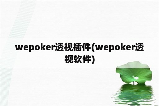 wepoker透视插件(wepoker透视软件)