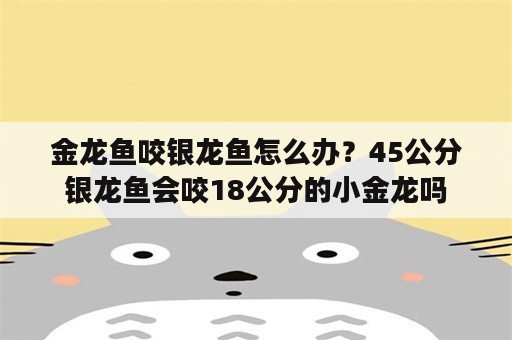 金龙鱼咬银龙鱼怎么办？45公分银龙鱼会咬18公分的小金龙吗