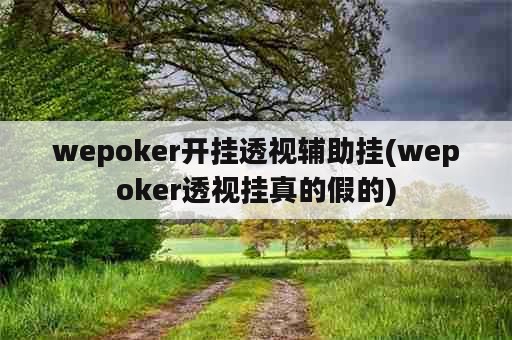 wepoker开挂透视辅助挂(wepoker透视挂真的假的)