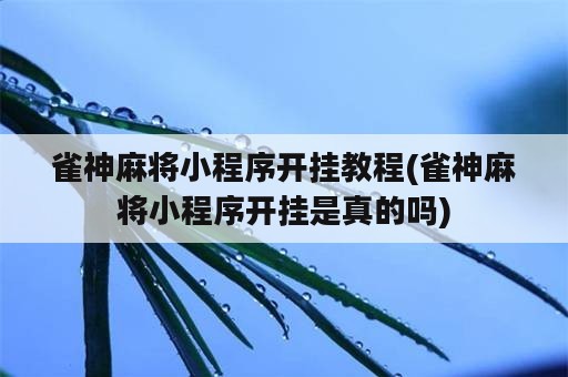 雀神麻将小程序开挂教程(雀神麻将小程序开挂是真的吗)