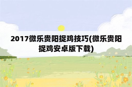 2017微乐贵阳捉鸡技巧(微乐贵阳捉鸡安卓版下载)
