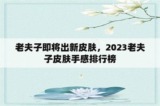 老夫子即将出新皮肤，2023老夫子皮肤手感排行榜