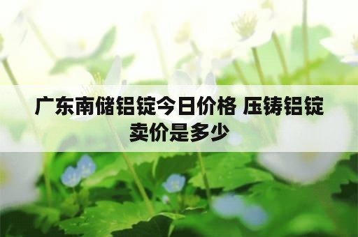 广东南储铝锭今日价格 压铸铝锭卖价是多少