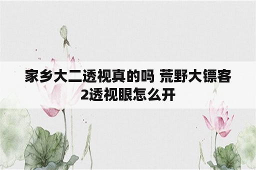 家乡大二透视真的吗 荒野大镖客2透视眼怎么开