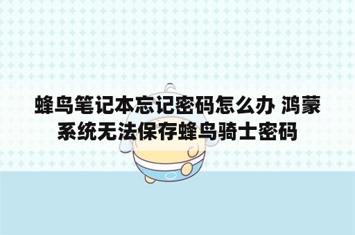 蜂鸟笔记本忘记密码怎么办 鸿蒙系统无法保存蜂鸟骑士密码